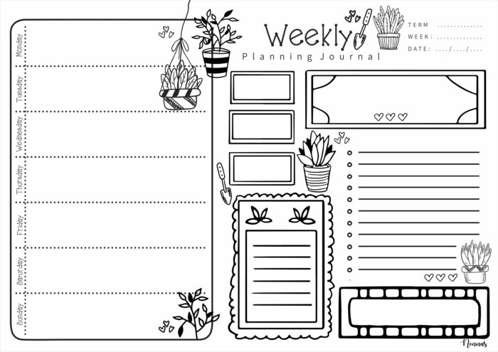 EWBJ008 - Planters