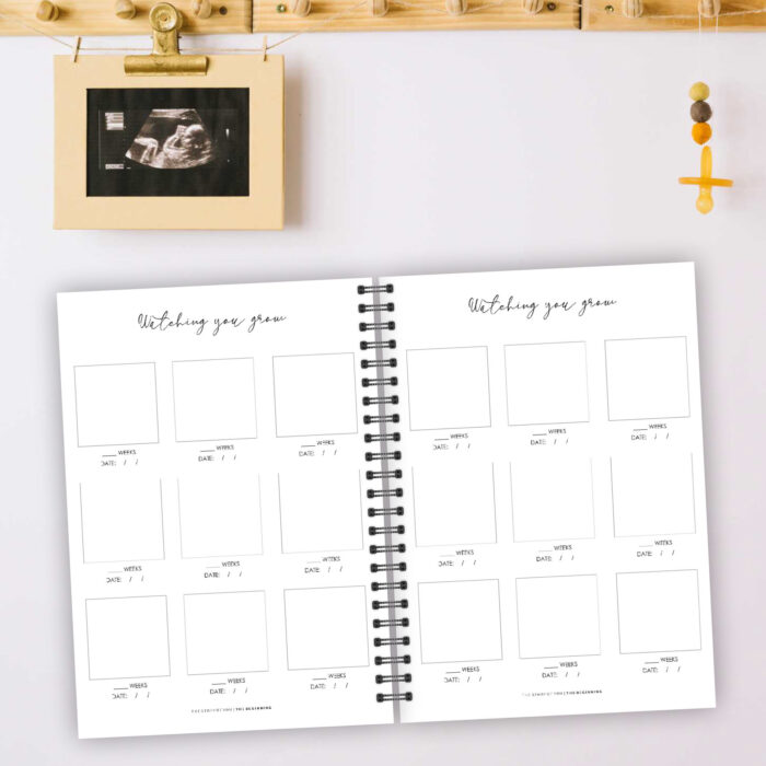 PJ013 - Pregnancy & 1st Year Journal - Image 14
