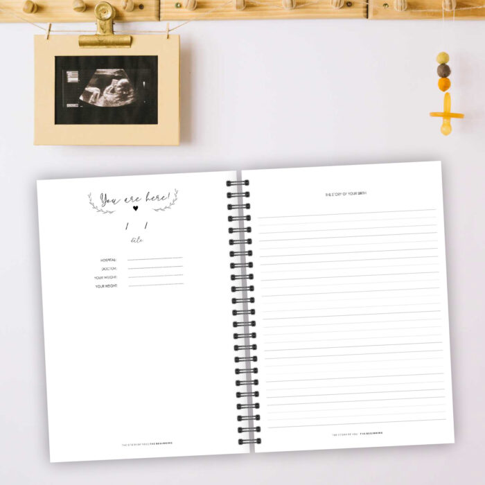 PJ013 - Pregnancy & 1st Year Journal - Image 10