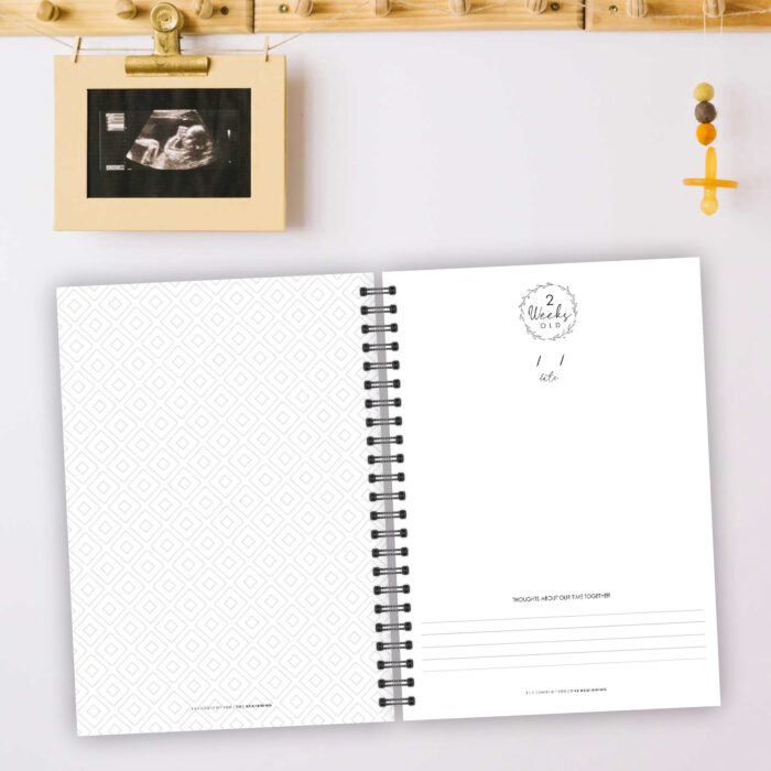 PJ013 - Pregnancy & 1st Year Journal - Image 8