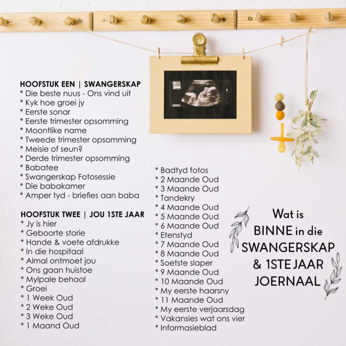 SJ008 - Swangerskap & 1ste Jaar Joernaal - Image 11