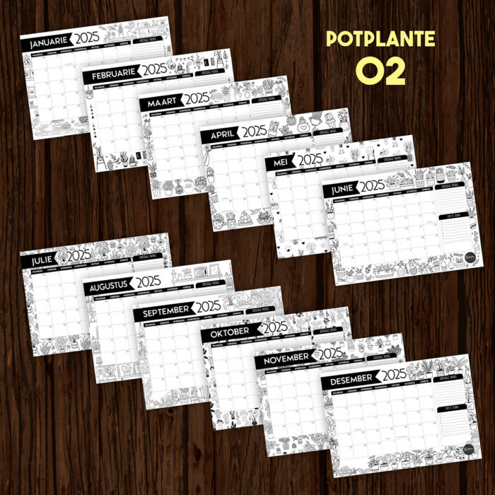 AK002 - Potplante - Image 3