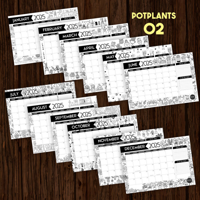 EC002 - Potplants - Image 3