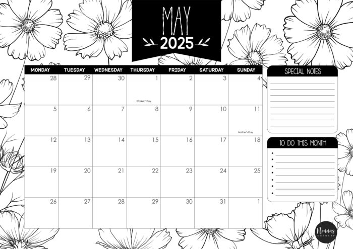 EC004 - Justflorally - Image 12