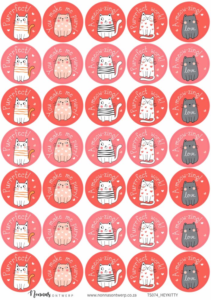 TS074_HEYKITTY