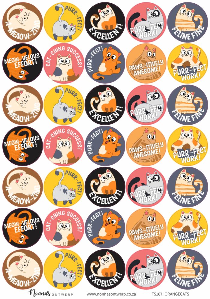 TS167_ORANGECATS